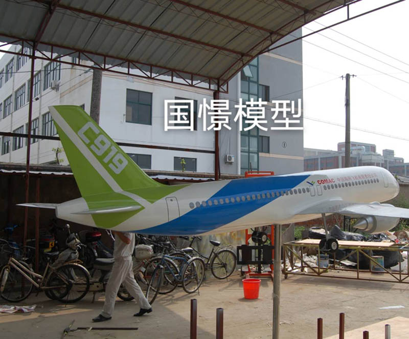 新田县飞机模型